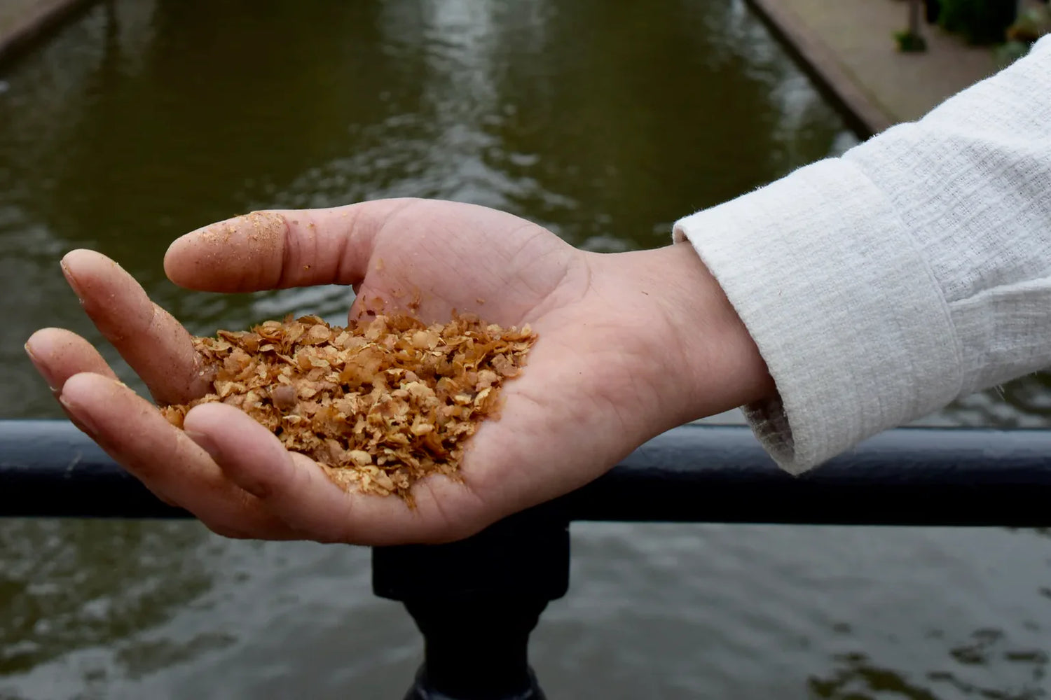 Hand met koffiechaff bij een Utrechtse gracht — Q Drinks capsule gemaakt van koffie